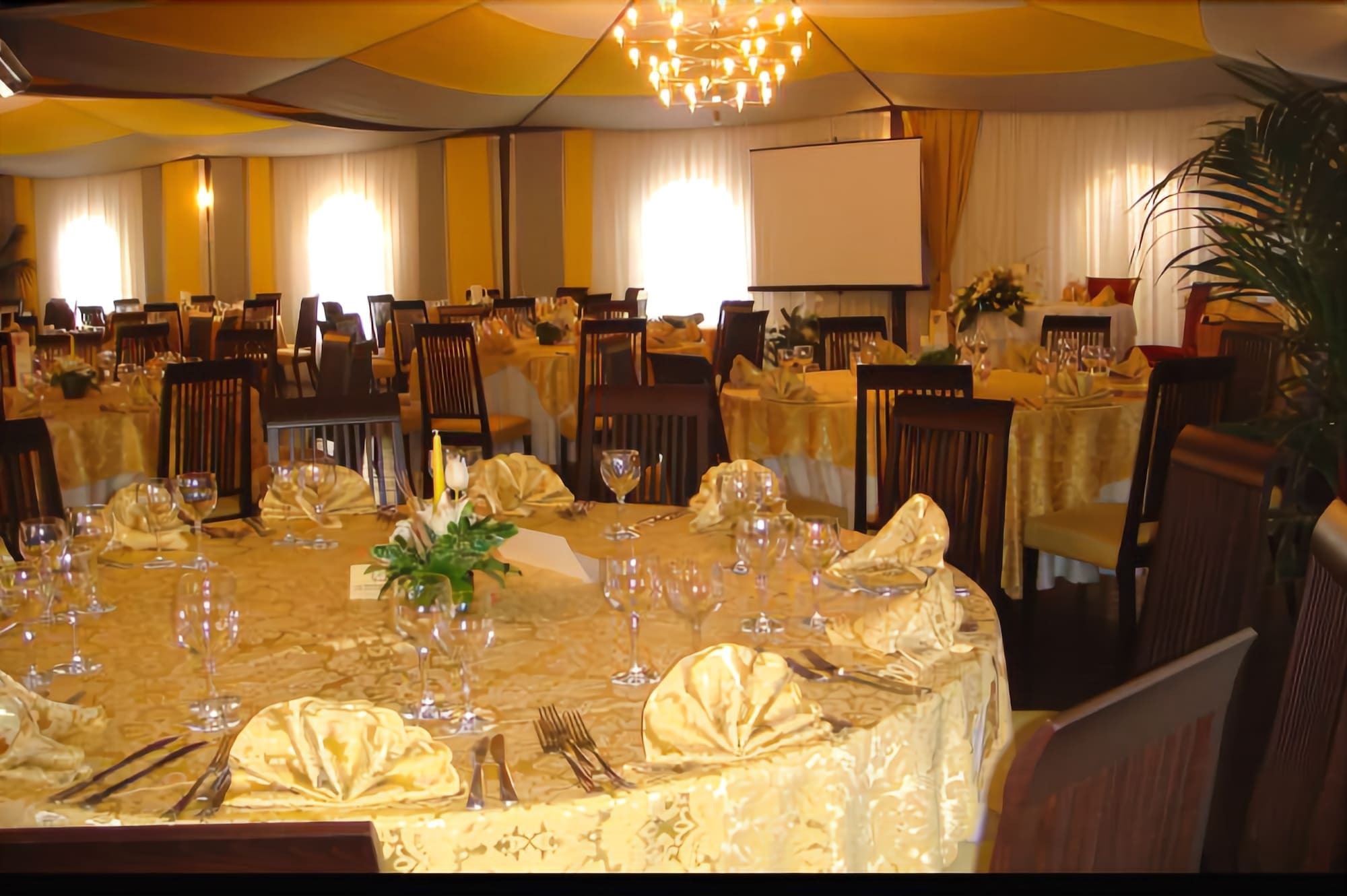 פאלקונה Hotel Delle Palme מראה חיצוני תמונה